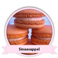 Sinaasappel Macarons bestellen - Happy Cupcakes